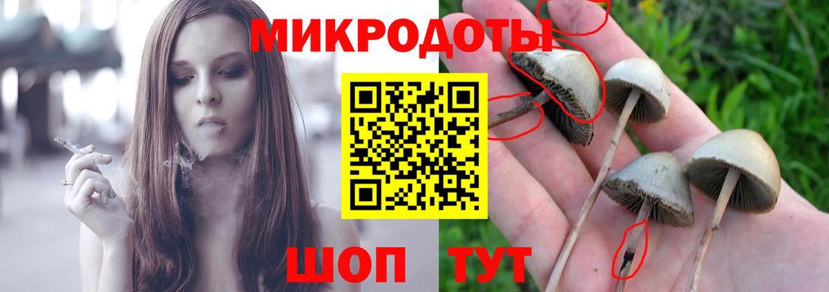 Апрелевка  Псилоцибиновые грибы Magic Shrooms  Вход с VPN 